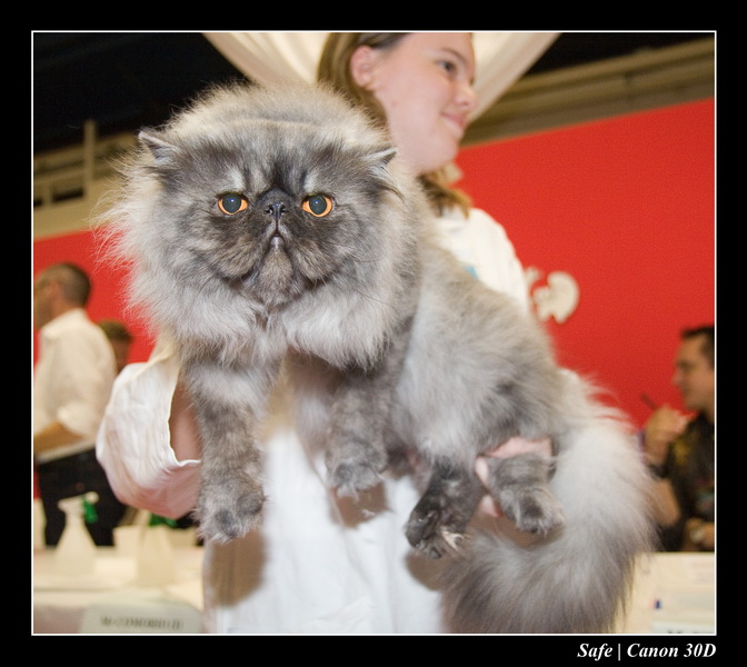 Sep 06 - Salon des animaux de compagnies - 75